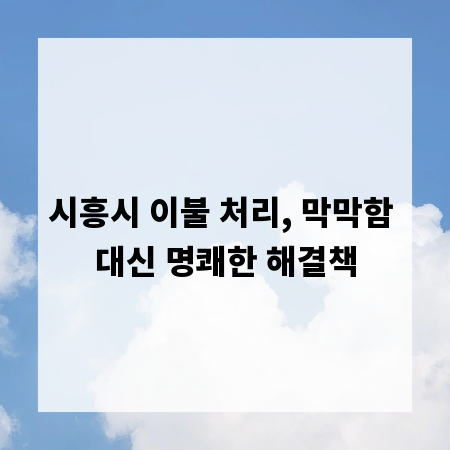 시흥시 이불 처리, 막막함 대신 명쾌한 해결책