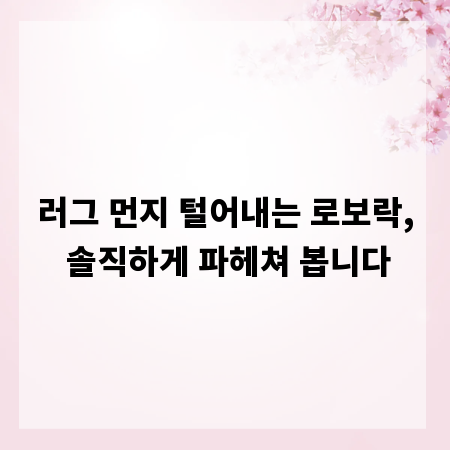 러그 먼지 털어내는 로보락, 솔직하게 파헤쳐 봅니다