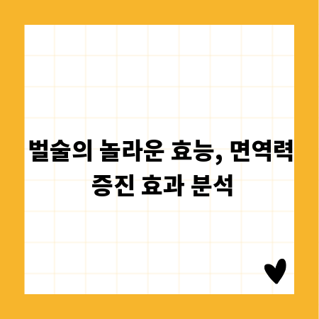 벌술의 놀라운 효능, 면역력 증진 효과 분석