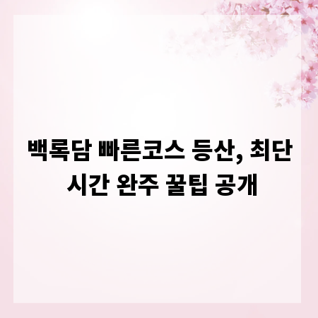 백록담 빠른코스 등산, 최단 시간 완주 꿀팁 공개