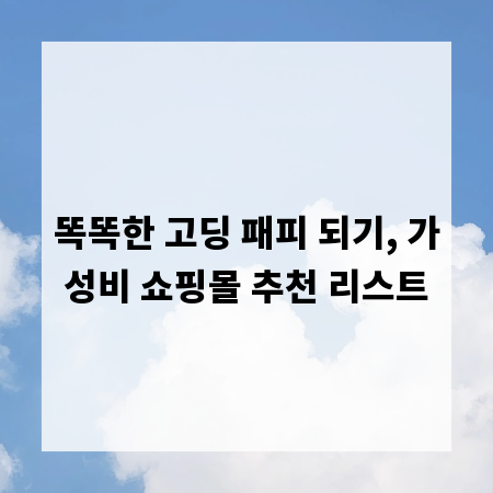 똑똑한 고딩 패피 되기, 가성비 쇼핑몰 추천 리스트
