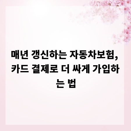 매년 갱신하는 자동차보험, 카드 결제로 더 싸게 가입하는 법