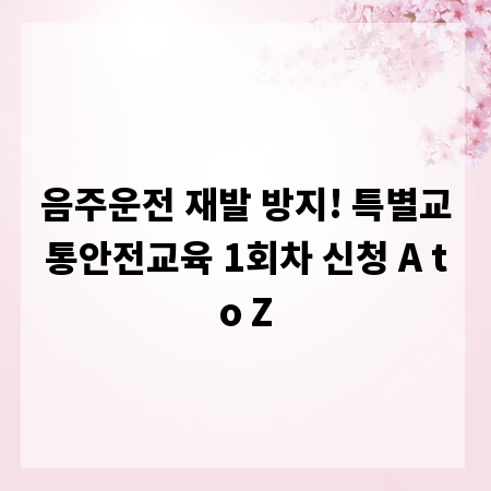 음주운전 재발 방지! 특별교통안전교육 1회차 신청 A to Z