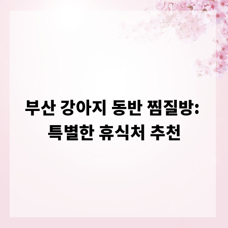 부산 강아지 동반 찜질방: 특별한 휴식처 추천
