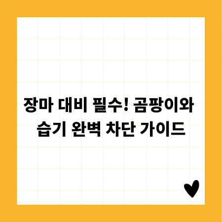 장마 대비 필수! 곰팡이와 습기 완벽 차단 가이드