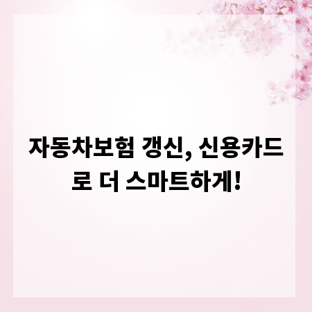 자동차보험 갱신, 신용카드로 더 스마트하게!