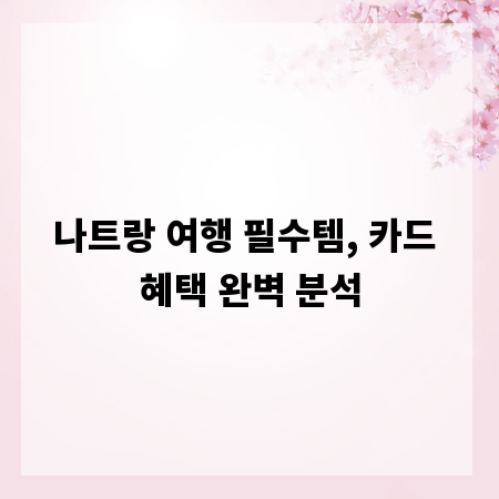 나트랑 여행 필수템, 카드 혜택 완벽 분석