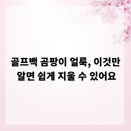 골프백 곰팡이 얼룩, 이것만 알면 쉽게 지울 수 있어요