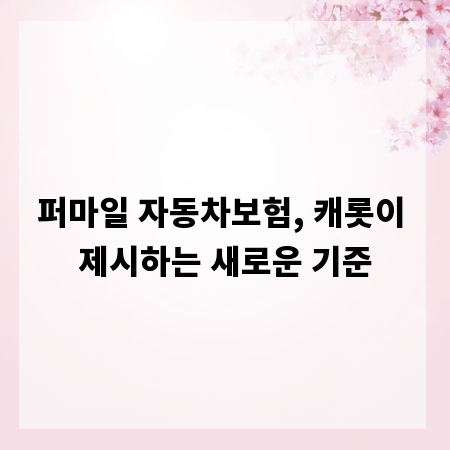 퍼마일 자동차보험, 캐롯이 제시하는 새로운 기준