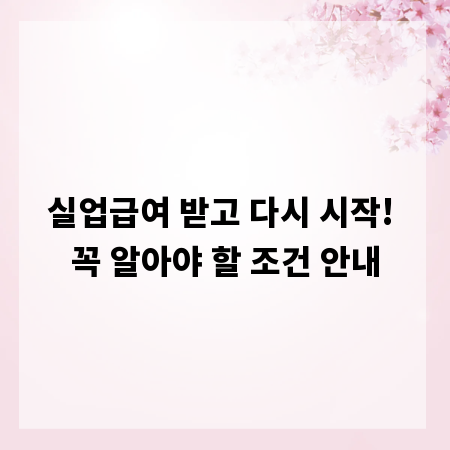 실업급여 받고 다시 시작! 꼭 알아야 할 조건 안내