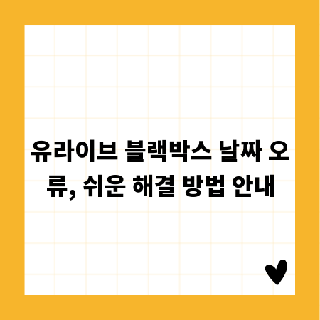 유라이브 블랙박스 날짜 오류, 쉬운 해결 방법 안내