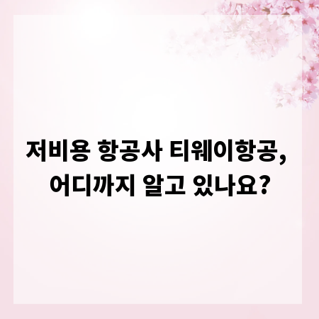 저비용 항공사 티웨이항공, 어디까지 알고 있나요?