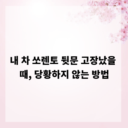 내 차 쏘렌토 뒷문 고장났을 때, 당황하지 않는 방법