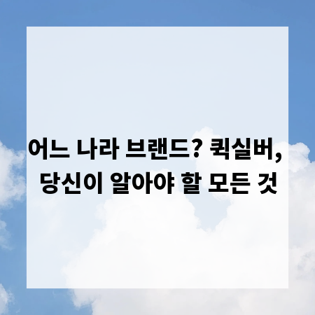 어느 나라 브랜드? 퀵실버, 당신이 알아야 할 모든 것