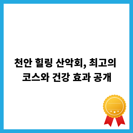 천안 힐링 산악회, 최고의 코스와 건강 효과 공개
