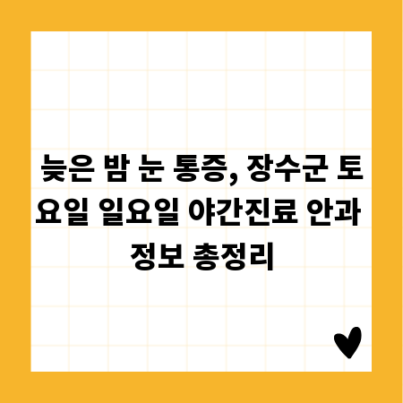 늦은 밤 눈 통증, 장수군 토요일 일요일 야간진료 안과 정보 총정리