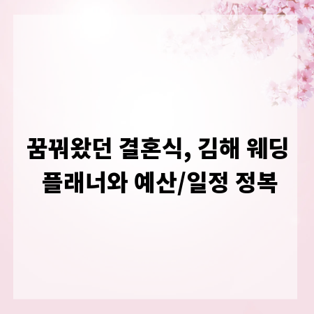 꿈꿔왔던 결혼식, 김해 웨딩 플래너와 예산/일정 정복