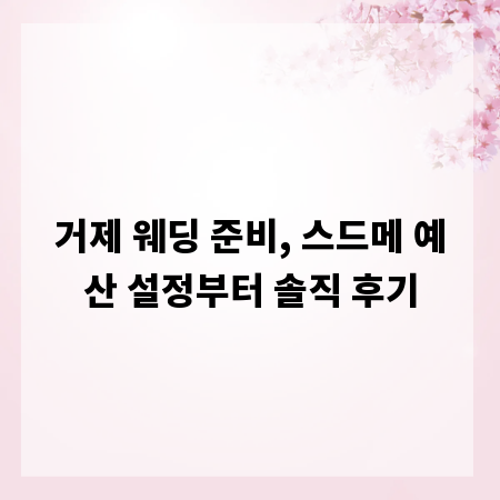 거제 웨딩 준비, 스드메 예산 설정부터 솔직 후기