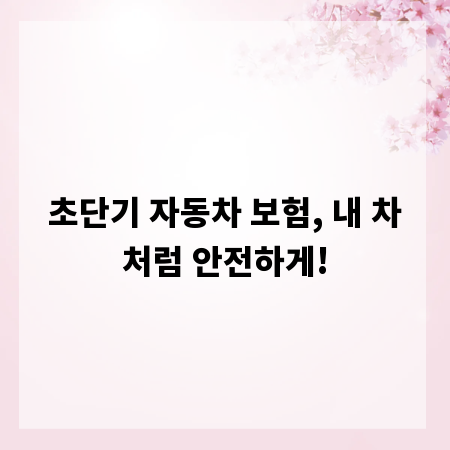 초단기 자동차 보험, 내 차처럼 안전하게!