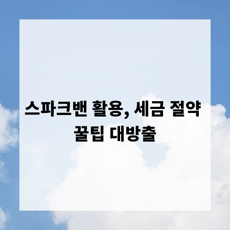스파크밴 활용, 세금 절약 꿀팁 대방출