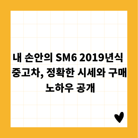 내 손안의 SM6 2019년식 중고차, 정확한 시세와 구매 노하우 공개