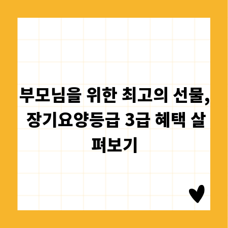 부모님을 위한 최고의 선물, 장기요양등급 3급 혜택 살펴보기