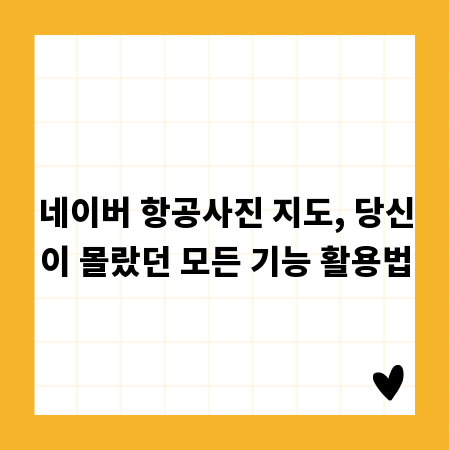 네이버 항공사진 지도, 당신이 몰랐던 모든 기능 활용법