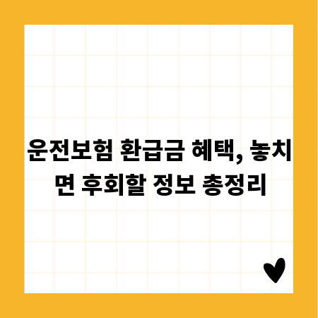 운전보험 환급금 혜택, 놓치면 후회할 정보 총정리