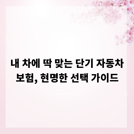 내 차에 딱 맞는 단기 자동차보험, 현명한 선택 가이드