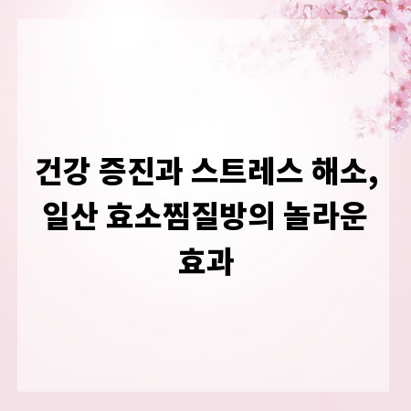 건강 증진과 스트레스 해소, 일산 효소찜질방의 놀라운 효과