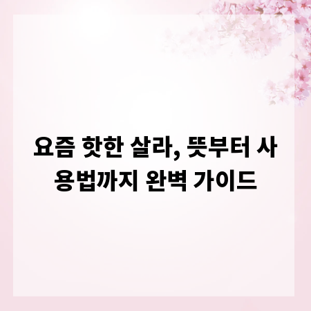 요즘 핫한 살라, 뜻부터 사용법까지 완벽 가이드