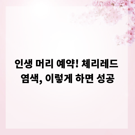 인생 머리 예약! 체리레드 염색, 이렇게 하면 성공