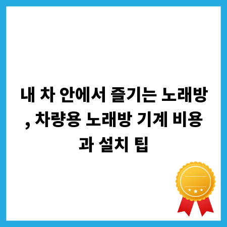 내 차 안에서 즐기는 노래방, 차량용 노래방 기계 비용과 설치 팁