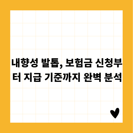 내향성 발톱, 보험금 신청부터 지급 기준까지 완벽 분석