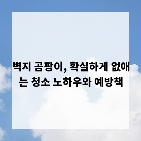 벽지 곰팡이, 확실하게 없애는 청소 노하우와 예방책