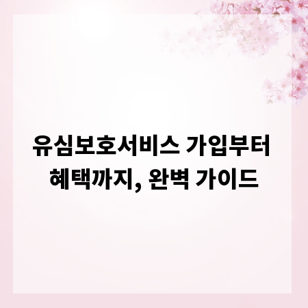 유심보호서비스 가입부터 혜택까지, 완벽 가이드