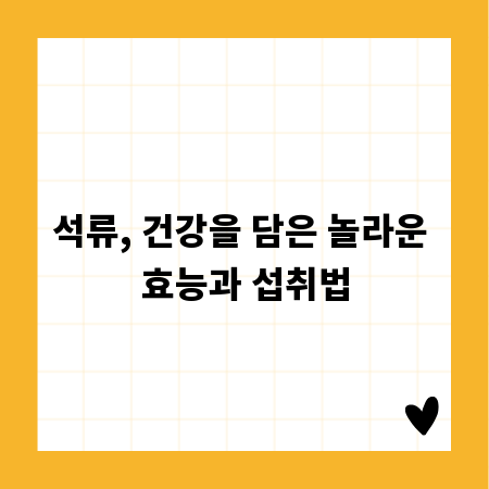 석류, 건강을 담은 놀라운 효능과 섭취법