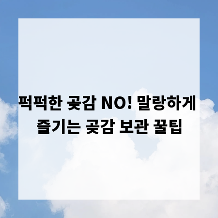퍽퍽한 곶감 NO! 말랑하게 즐기는 곶감 보관 꿀팁