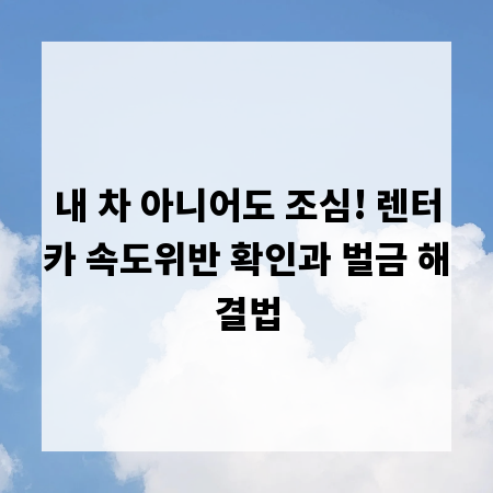 내 차 아니어도 조심! 렌터카 속도위반 확인과 벌금 해결법