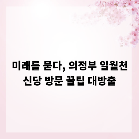 미래를 묻다, 의정부 일월천신당 방문 꿀팁 대방출