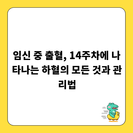 임신 중 출혈, 14주차에 나타나는 하혈의 모든 것과 관리법
