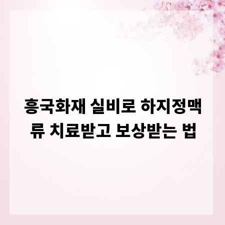 흥국화재 실비로 하지정맥류 치료받고 보상받는 법