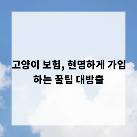 고양이 보험, 현명하게 가입하는 꿀팁 대방출