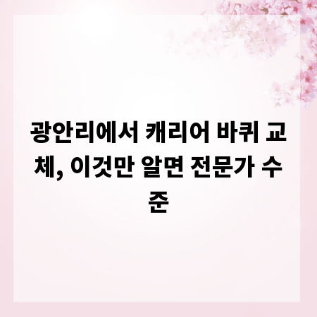 광안리에서 캐리어 바퀴 교체, 이것만 알면 전문가 수준