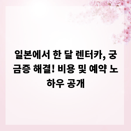일본에서 한 달 렌터카, 궁금증 해결! 비용 및 예약 노하우 공개