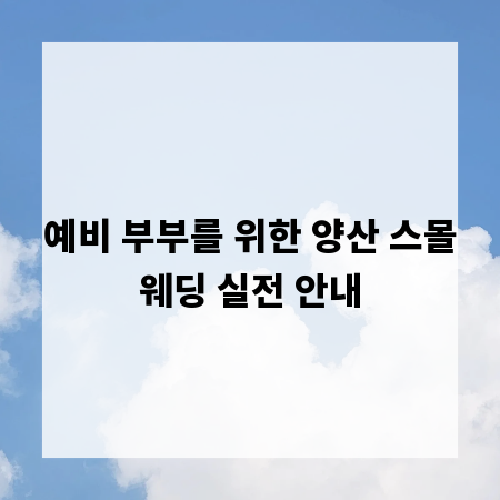 예비 부부를 위한 양산 스몰웨딩 실전 안내