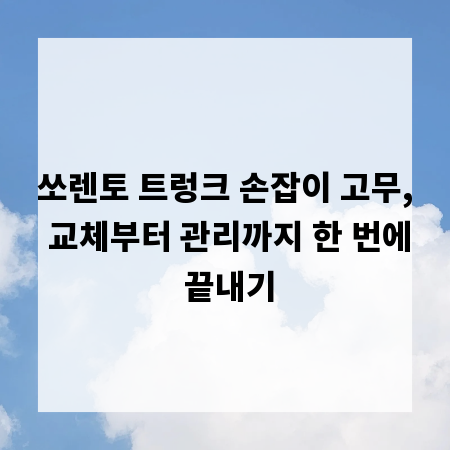 쏘렌토 트렁크 손잡이 고무, 교체부터 관리까지 한 번에 끝내기