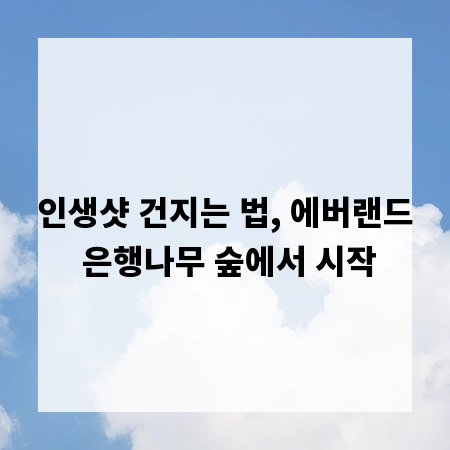 인생샷 건지는 법, 에버랜드 은행나무 숲에서 시작