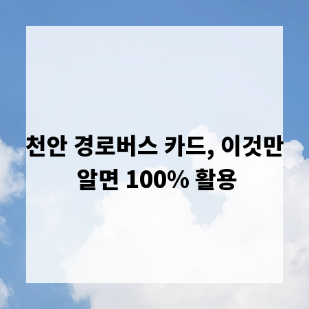 천안 경로버스 카드, 이것만 알면 100% 활용