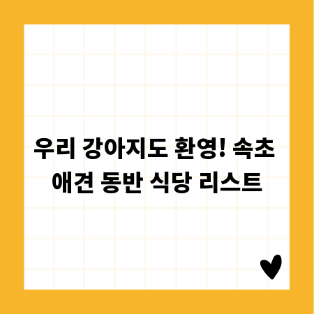 우리 강아지도 환영! 속초 애견 동반 식당 리스트